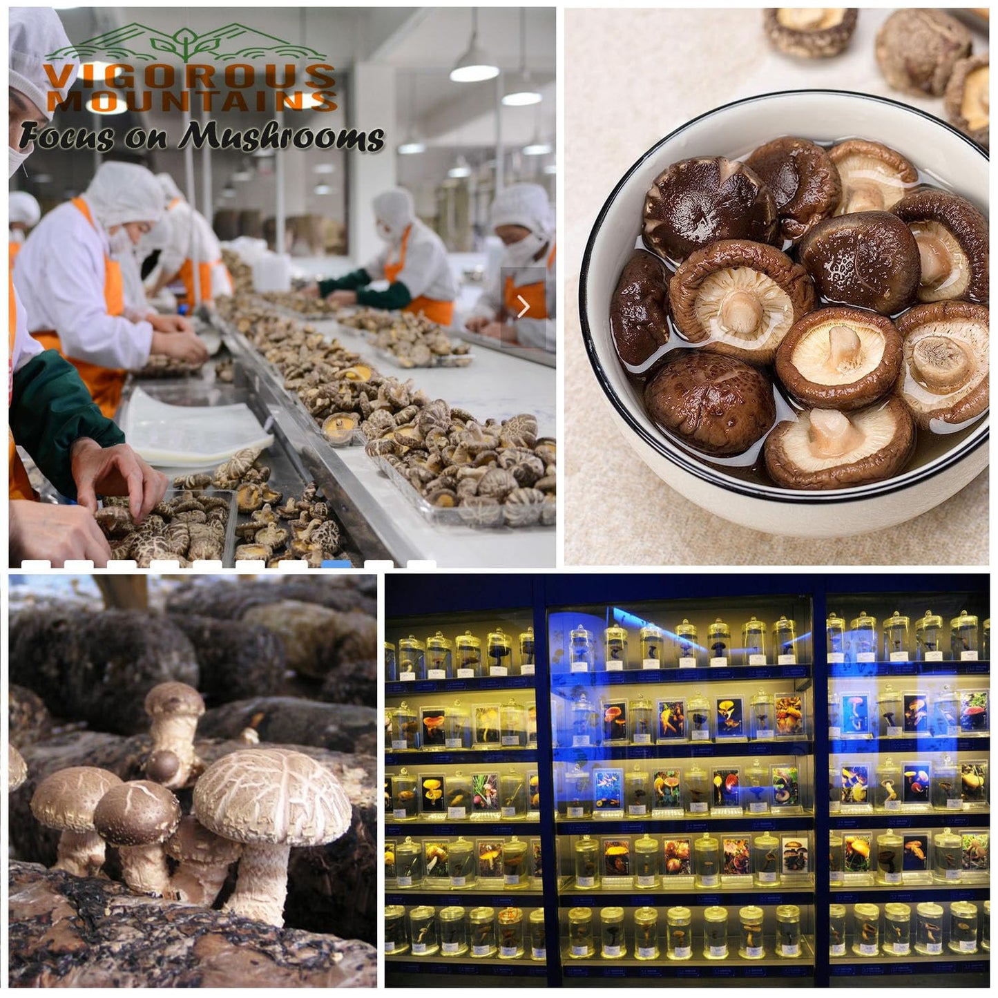 Vigorous Mountains Dried Shiitake Mushrooms For Cooking, 2-3Cm Dehydrated Mushrooms, Dry Fresh Vegan No Fumigation Sulfur (1.5Oz)