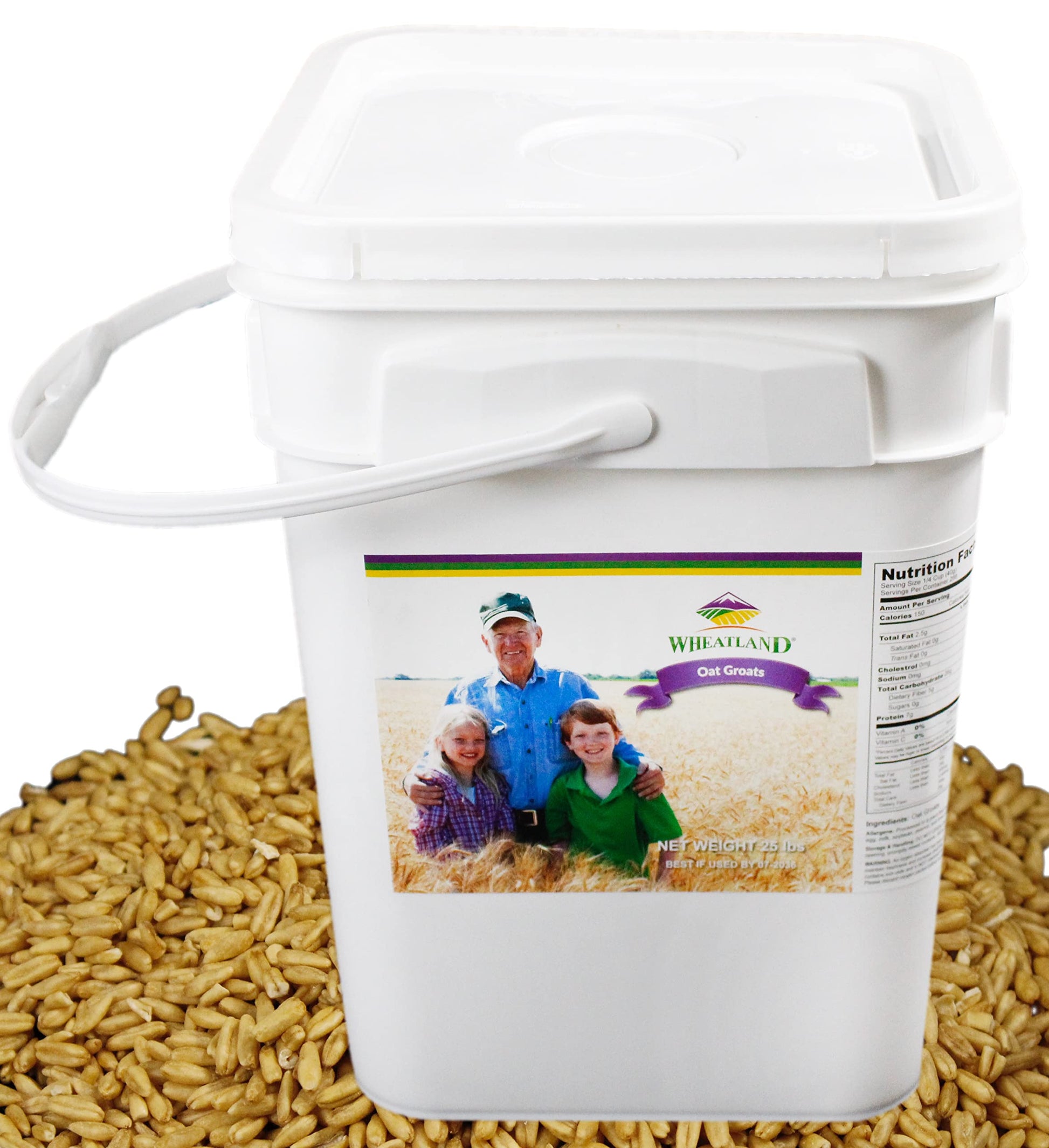 Wheatland Oat Groats  20 Pound Bucket with Mylar lining  USA Grown  Non-GMO  Lab Tested  Sproutable  Whole Grain  Emergency Food