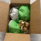Organic Elephant Garlic Fresh Bulbs Seed. 2 pounds.. Gift Health Box with 4 Huge Units of Elephant Garlic.
