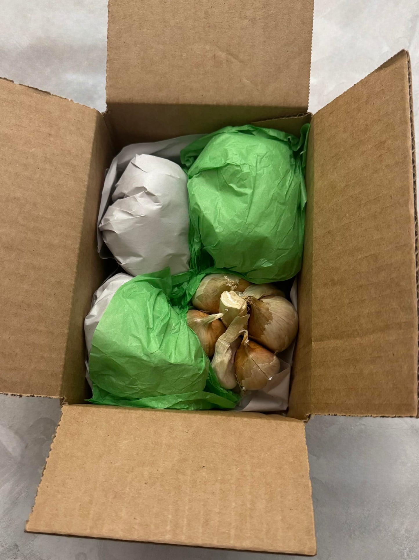 Organic Elephant Garlic Fresh Bulbs Seed. 2 pounds.. Gift Health Box with 4 Huge Units of Elephant Garlic.