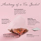 La Tea Dah Cotton Candy Tea - Lightly Caffeinated Oolong with Hibiscus, Raspberry & Apple - 12 Sachets