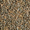 CZ Grain 25 Pounds Signature Rye Berries - High in Fiber and Iron - 25 LB Bag of Rye Berries