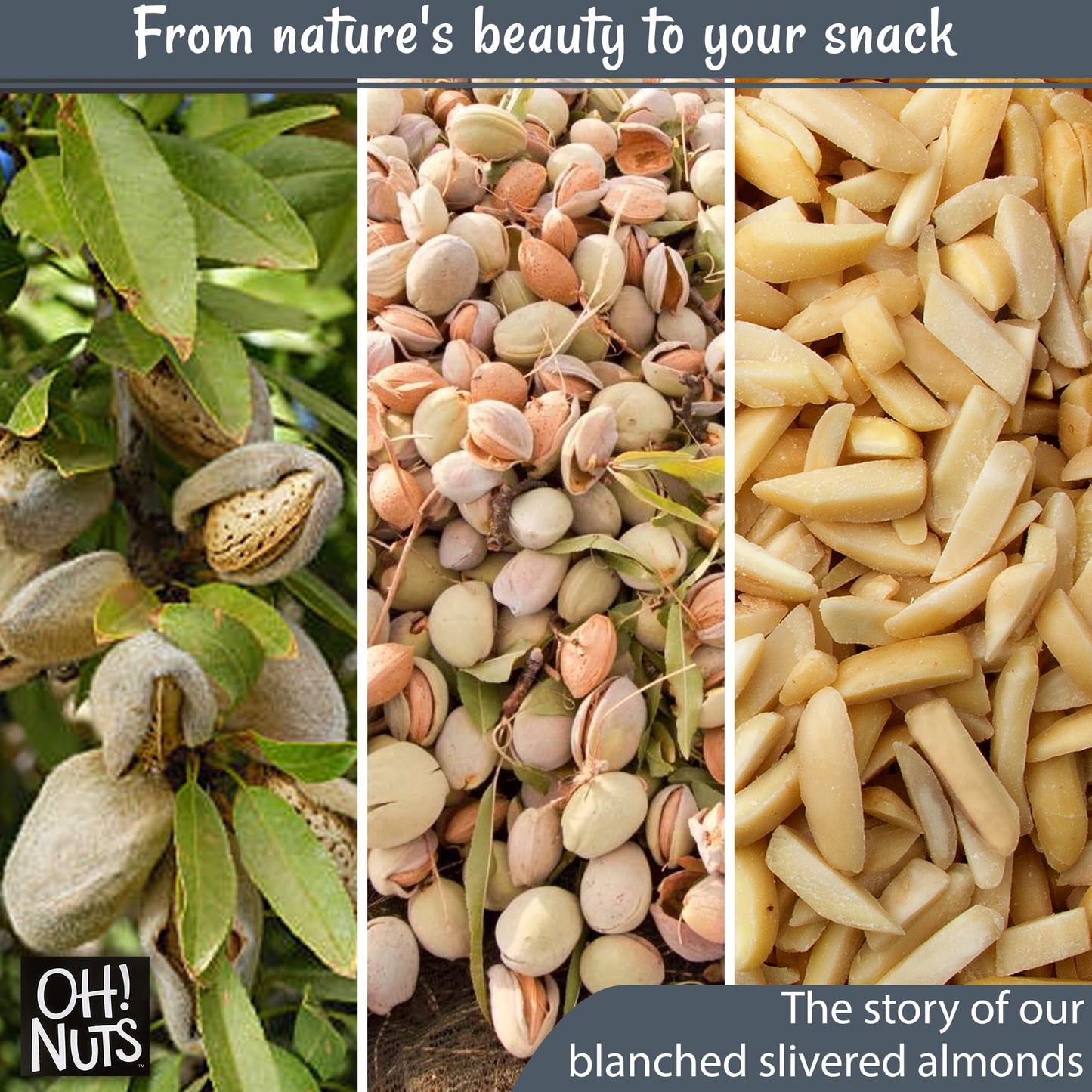 Oh! Nuts Almonds Blanched Slivered - Raw - 100% Natural - 2 Lb - High-Protein Almond - Packed In New York Zip-Seal Bag For Excep