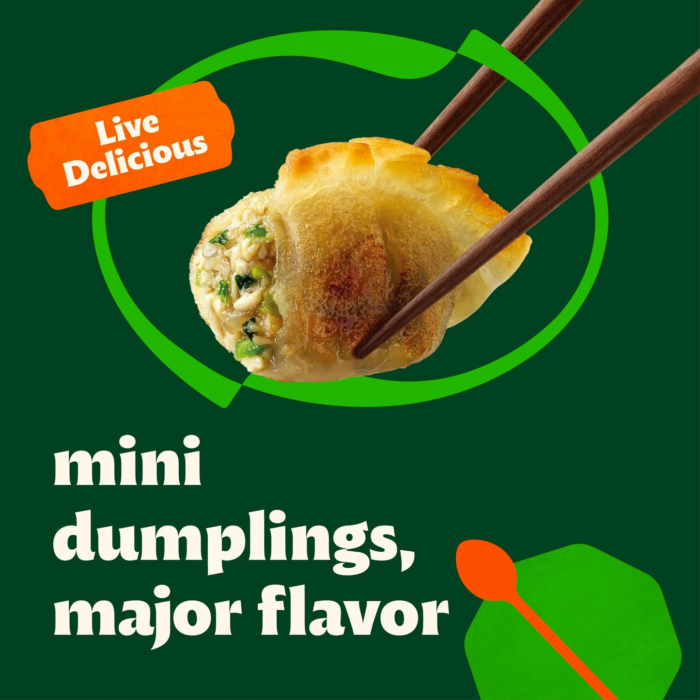 bibigo Mini Chicken & Vegetable Wonton, 24 Oz