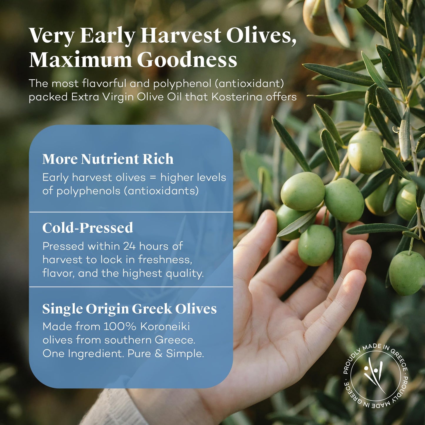 Kosterina Spicy Red Pepper Olive Oil Tin, Cold-Pressed Greek Olive Oil, 16.9 Fl Oz