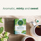 Traditional Medicinals Organic Spearmint Herbal Tea - Caffeine Free, Minty Flavor, 48 Tea Bags (3 Pack)