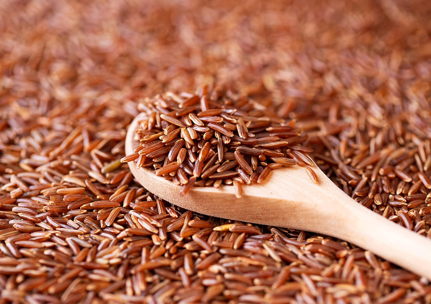 Food To Live Red Rice, 1 Pound – Whole Rice, Nutty Flavor, Soft Texture, Non-Sticky, Vegan. Good Source Of Protein And Antioxidants. Perfect For Pilafs, Salads, Stir-Fries And Rice Bowls