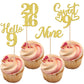 24 Pcs Glitter 9Th Birthday Cupcake Toppers Hello 9 Nine Cupcake Picks Sweet 9 Since 2014 Cupcake Topper For Happy 9Th Birthday