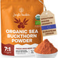 Jungle Powders Sea Buckthorn Berry Powder Organic 5 Ounce Bag - Antioxidant-Rich USDA Certified Freeze Dried Seabuckthorn High i