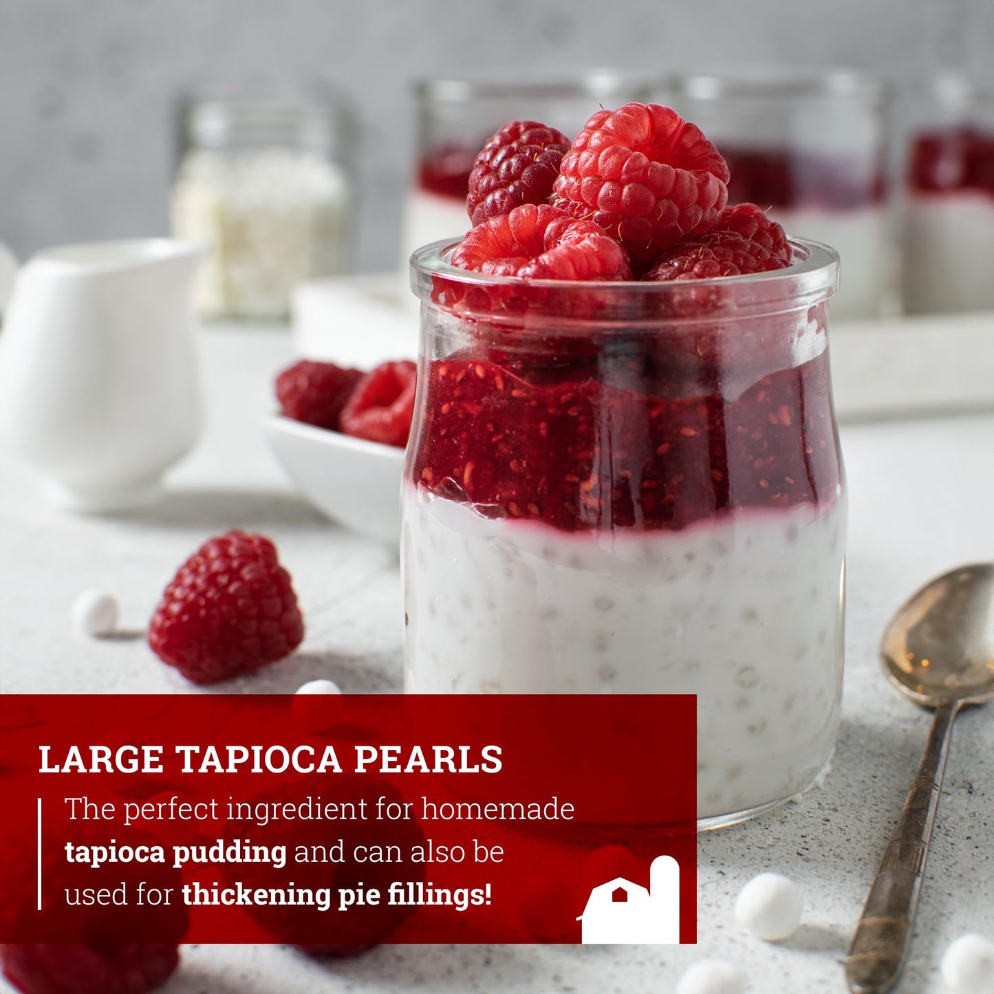 Hoosier Hill Farm Large Tapioca Pearls, 2Lb (Pack Of 1)
