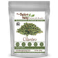 The Spice Way Cilantro Leaves - 1.25 Oz - All-Natural Dried Cilantro Leaf Flakes, Perfect For Adding A Burst Of Aroma And Taste