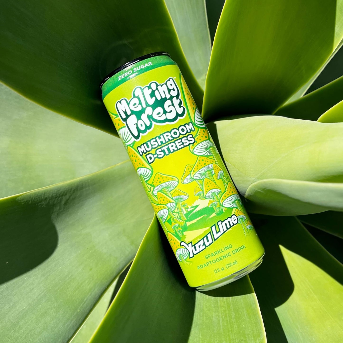 Melting Forest Mushroom D-Stress Drink - Reishi & Lion'S Mane - Stress Relieving & Focus - Cognitive Function & Mental Clarity -