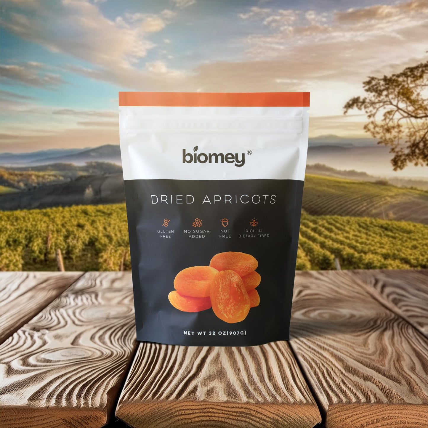 Biomey Big Size Dried Turkish Apricots 2 LB - No Added Sugar - Vegan - Non-GMO - Superfood  Healthy Snack - Great Source of Potassium & Fiber - Gluten Free  Kosher and Vegan
