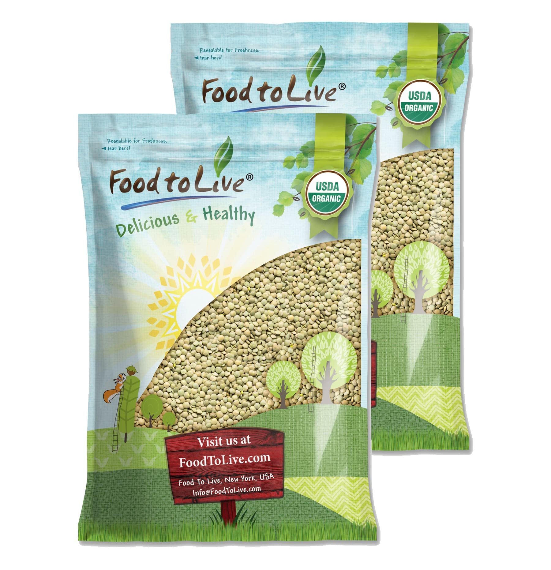 Food to Live Organic Whole Green Lentils, 20 Pounds - Non-GMO, Dried Raw Beans, Sproutable, Vegan, Kosher, High in Folate, Dieta