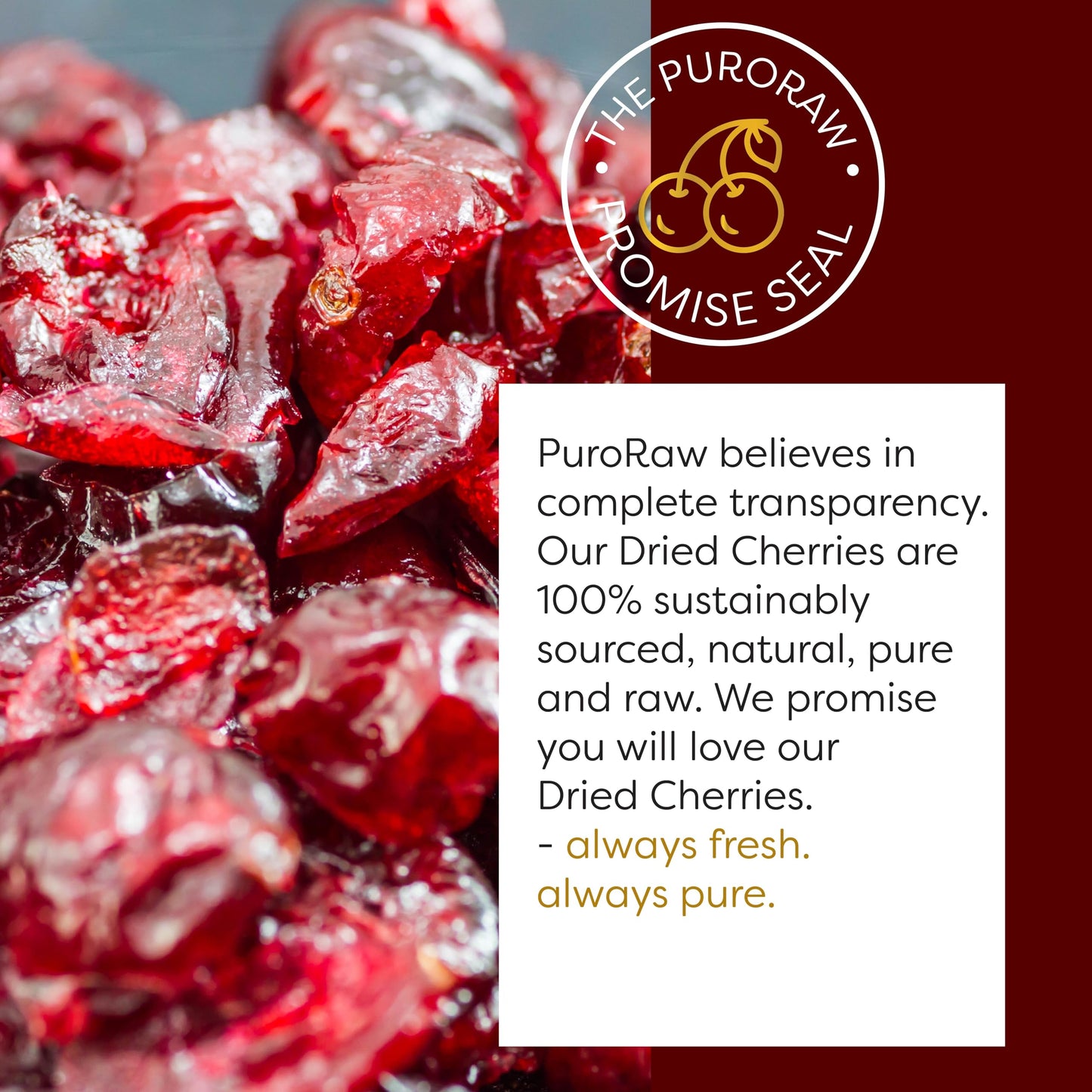 Puroraw Dried Cherries Unsweetened 8Oz, Cherries Fresh, Dried Tart Cherries, Dried Sour Cherries, Montmorency Dried Cherries Bulk, Dried Cherries No Sugar Added, Usa Grown 8Oz