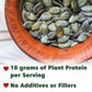 Wilderness Poets, Organic Pumpkin Seed Protein Powder (32 Ounce - 2 Pound) Cold-Pressed, Vegan, Unsweetened, Non-GMO, Dairy Free