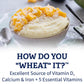 Cream of Wheat Original Stove Top Hot Cereal, 2 1/2 Minute Cook Time, 12 Ounce (Pack of 24)