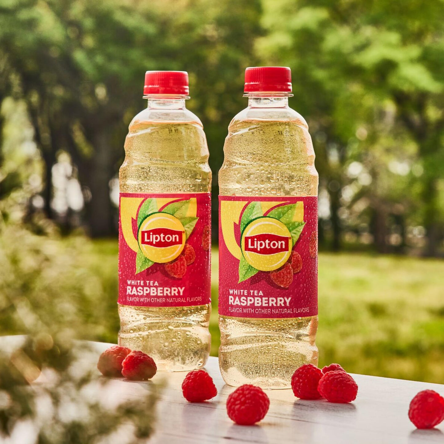 Lipton Raspberry White Tea, 16.9 Fl Oz Bottles, Pack of 12, Refreshing Beverage