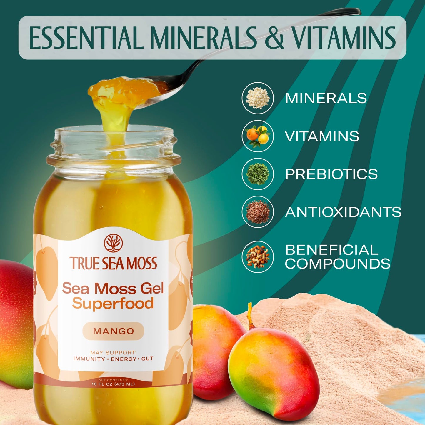TrueSeaMoss Sea Moss Gel - Made in USA - Wildcrafted Seamoss, Fruits & Jarred Vegetables - Mango, Pack of 2 (Labels may Vary)