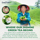 LeafLea 80 Jasmine Green Tea Bags, Green Tea with Natural Jasmine Aroma, Light Focus & Daily Balance, Delicate Floral and Smooth