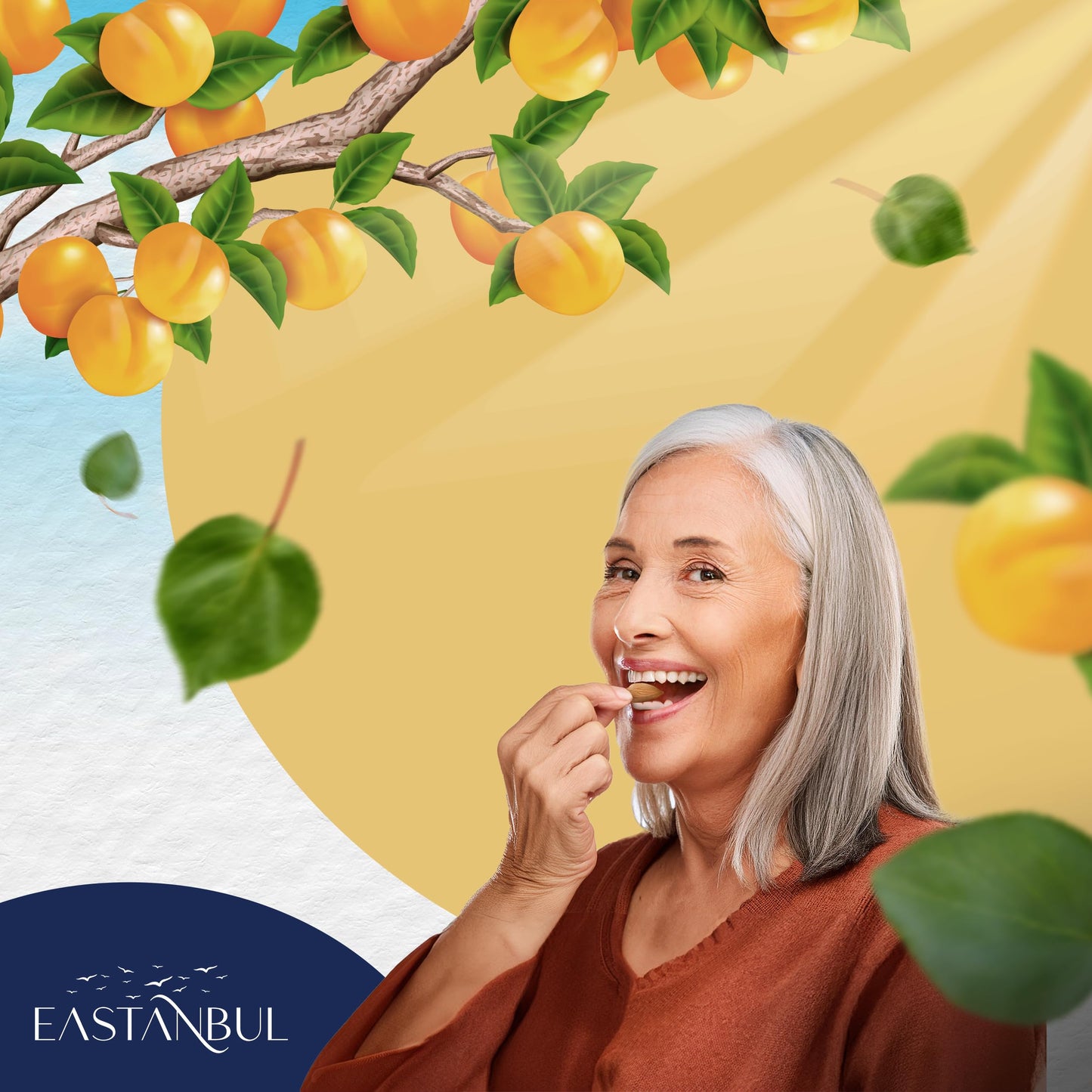 Eastanbul Apricot Seeds, Raw & Bitter Kernels, 14.5oz (410g), Vegan, Gluten Free, Non-GMO, Brown