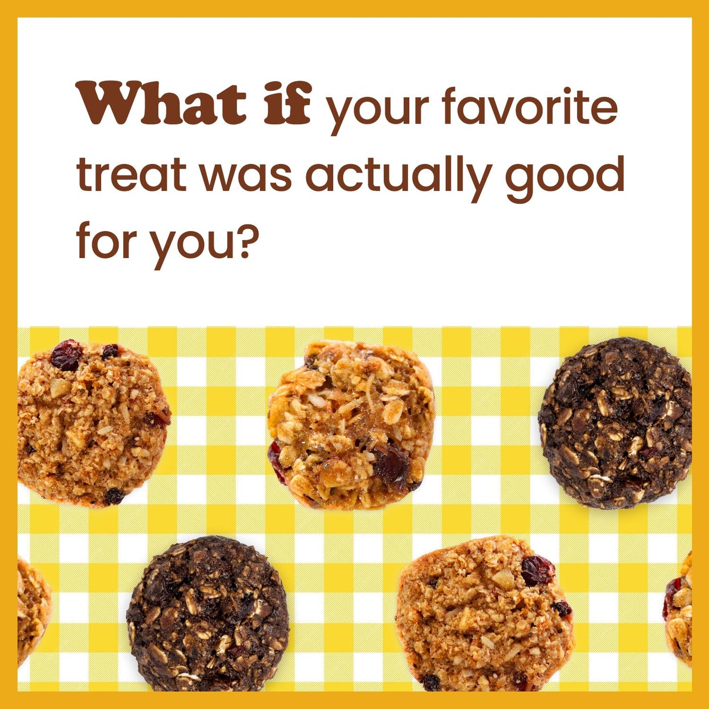 Alyssas Vegan Chocobites  Gluten Free Cookies, Healthy Snacks From The Bakery  Dairy Free, Sugar Free, Low Carb, Keto Protein