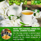 FRESHDRINKUS Jasmine Green Tea, 100% Natural, 20 Tea Bags, Vegan, No Sugar, No Gluten