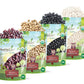 Food to Live Organic Dry Beans Bundle, 4 Pack - Black Beans (5 LB), Pinto Beans (5 LB), Navy Beans (5 LB), Dark Red Kidney Beans