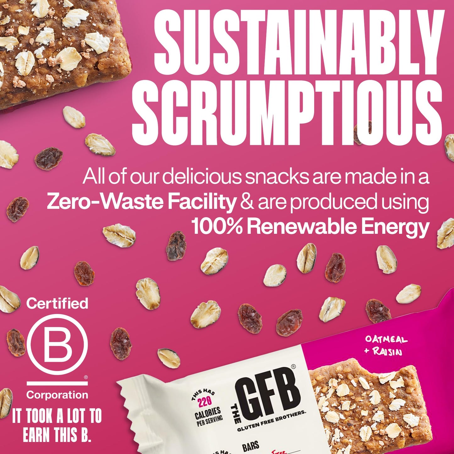 The Gfb Oatmeal Raisin Protein Bars - Gluten Free, Plant Based, Non Gmo, Sustainably Made - Ridiculously Tasty, Healthy, Vegan,