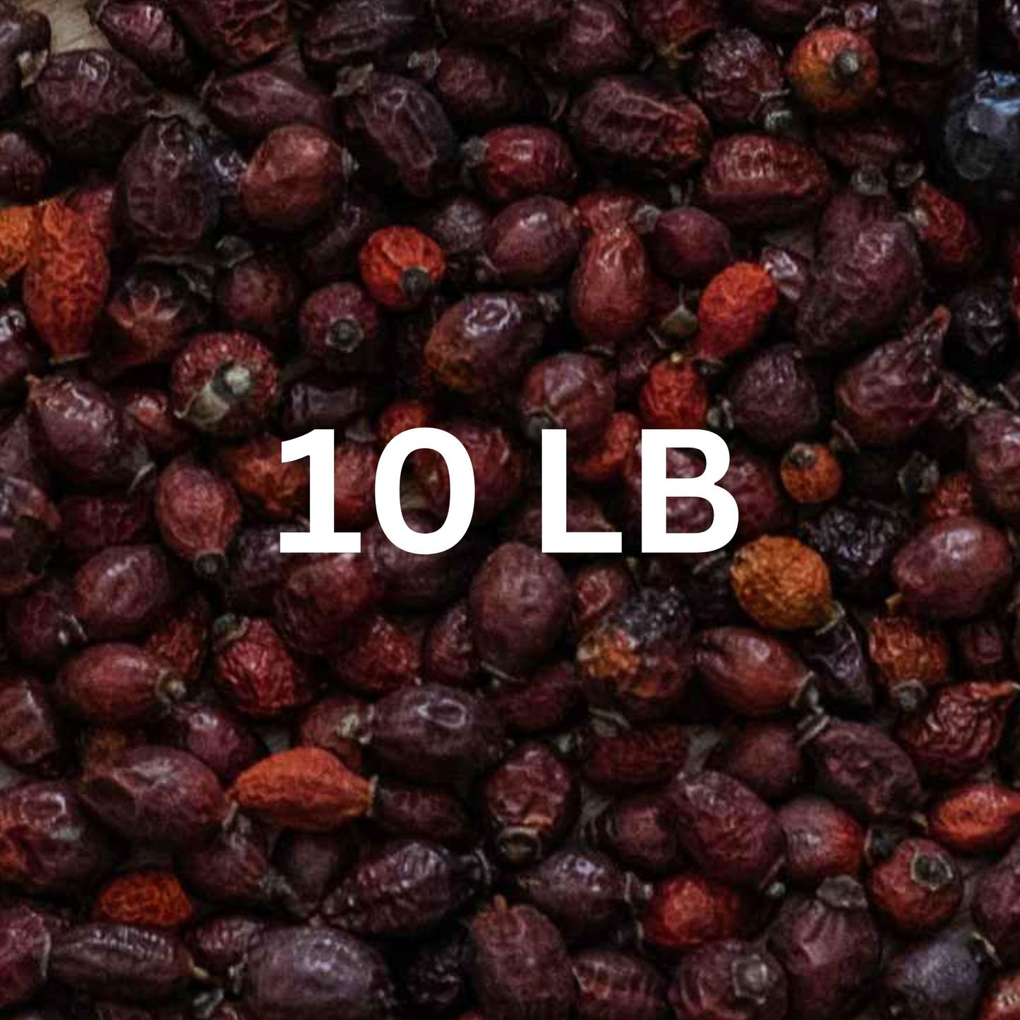 Super Large Value Pack 10 Lb - Organic Dried Rosehip Fruit - Organic Rose Hips Whole (Rosa Canina) - Rich In Vitamin C, Antioxid