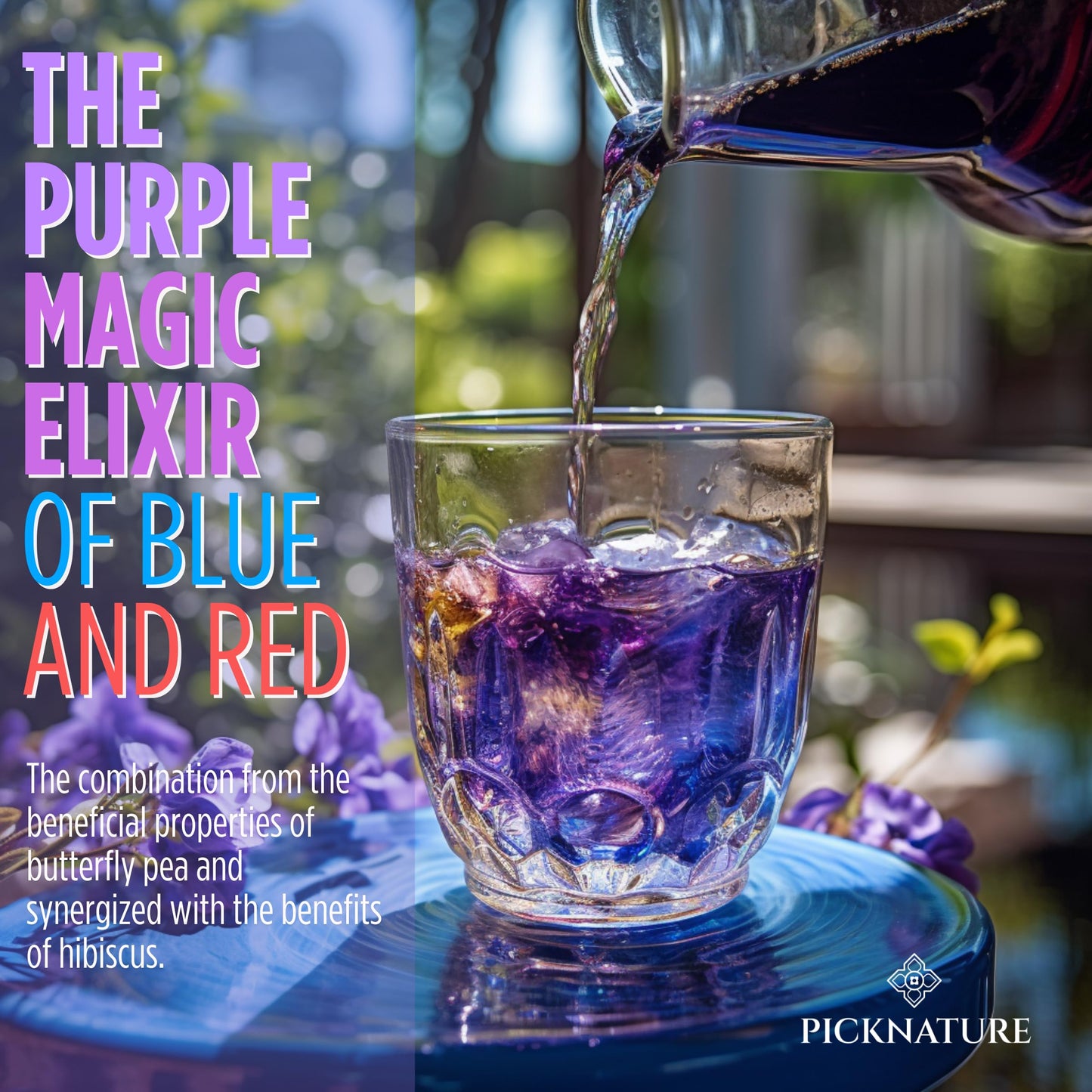 Picknature Purple Hibiscus Tea And Butterfly Pea Flower Tea Bag Leaf Freshly Picked From Thailand | 30 Tea Bags (100+ Cups) | He
