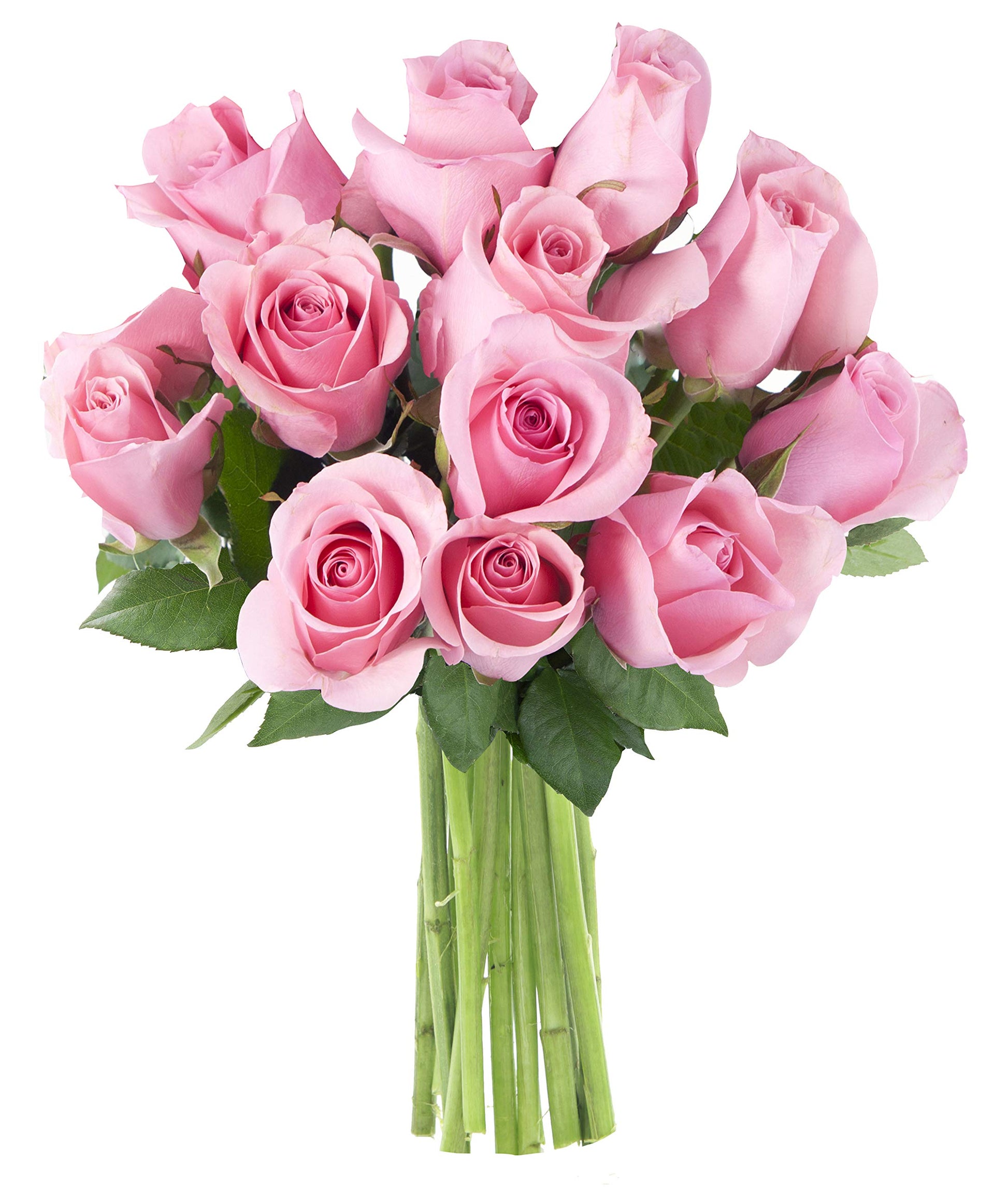 KaBloom Flowers - Mothers Day Collection - Bouquet of 12 Fresh Pink Roses Without Vase - Gift for Birthday  Anniversary  Get Well  Thank You  Valentine  Mothers Day Fresh Flowers