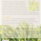 Rishi Tea Jasmine Green Tea | Usda Organic Direct Trade Sachet Tea Bags, Certified Kosher Caffeinated Scented Green Tea With Flo