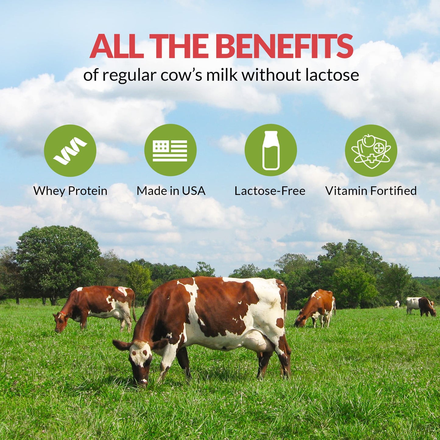 Hester FARM Lactose Free Whey Milk Powder, Lactose Free Milk Product, for Kids and Adults, for Drinking, Cooking, Baking, 800g M