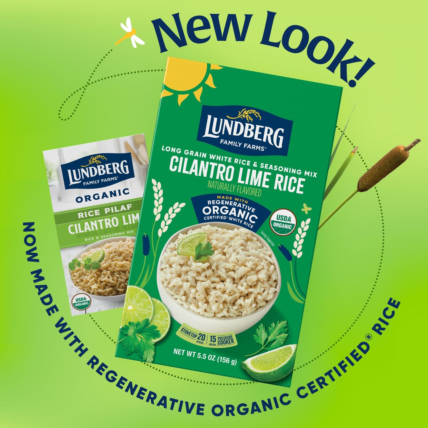 Lundberg Organic White Clam Sauce, 5.5 Ounce, Pack of 1