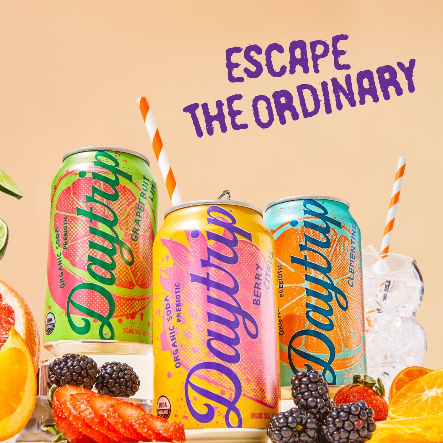 Daytrip Sparkling Prebiotic Soda - Low Calorie, Fiber Enriched, USDA Organic, 12oz