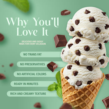 Triple Scoop Premium Mint Chocolate Chip Ice Cream Starter Mix, 1 Box, Makes 2 Quarts, Easy to Use, Made in USA