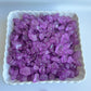Sweetglob Old Fashioned Large Rock Sugar Candy Gems, Lump Sugar Rock Crystals (Purple Grape, 1 Pound)