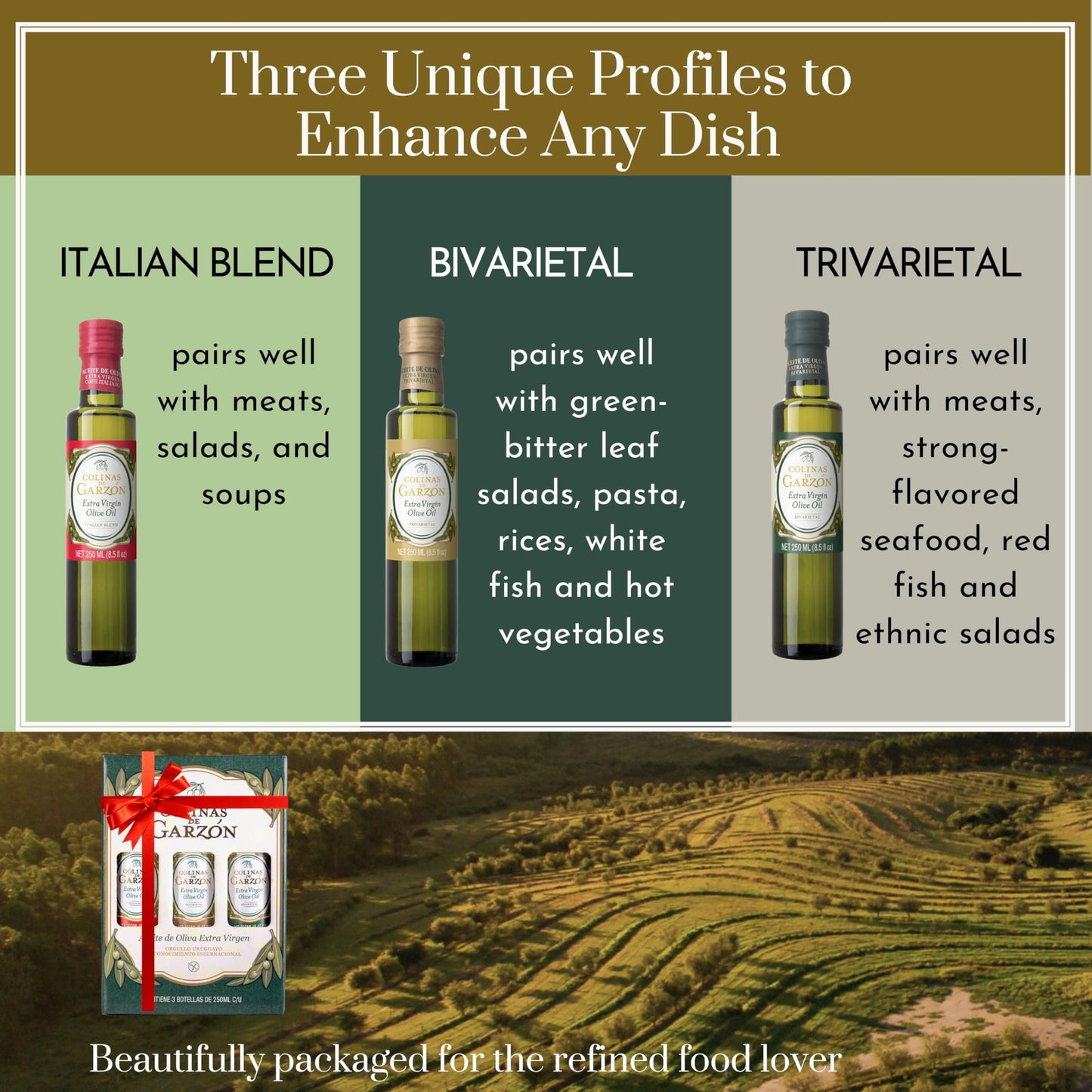 Colinas De Garzon Extra Virgin Olive Oil Tasting Set, 3 x 250ml Glass Bottles, Italian Blend, Gift Boxed