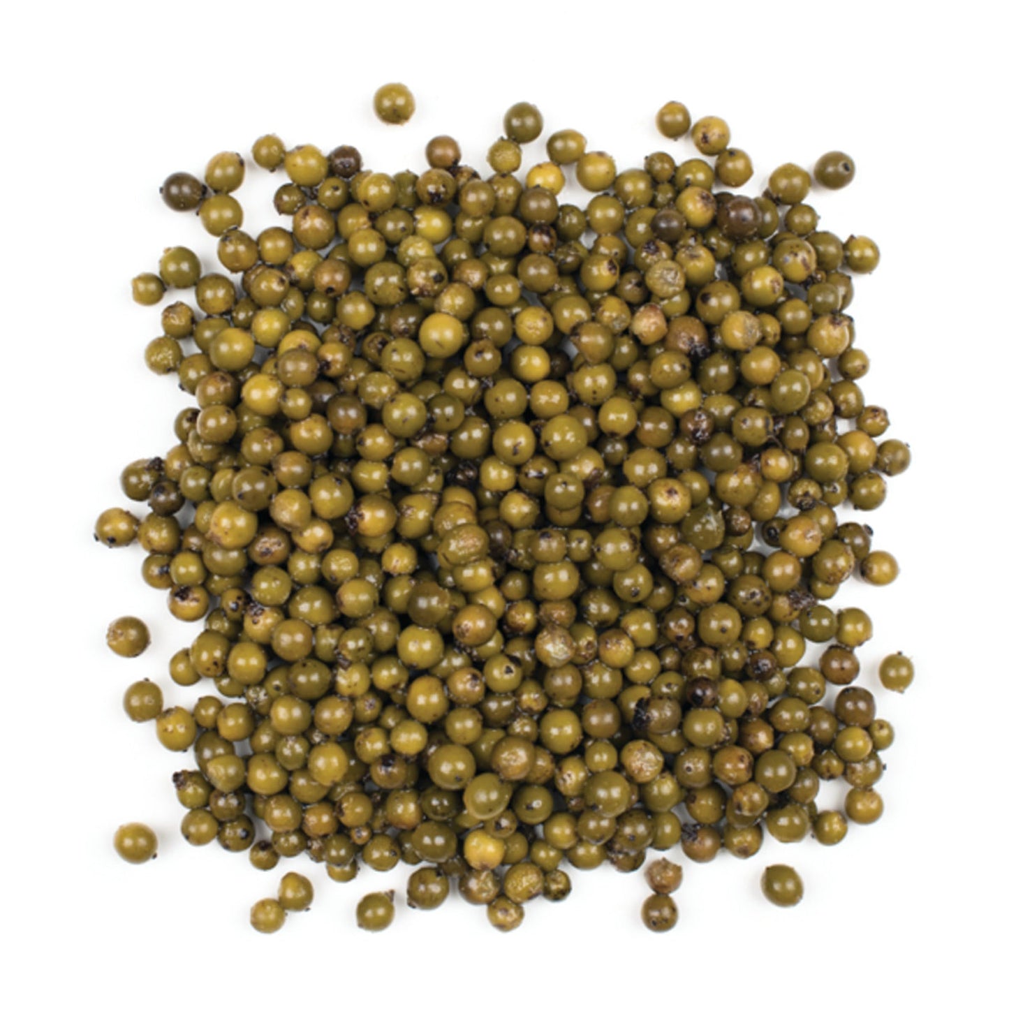 Roland Foods Green Peppercorns in Brine  Specialty Imported Food  28.2 Ounce Can  Pack of 1