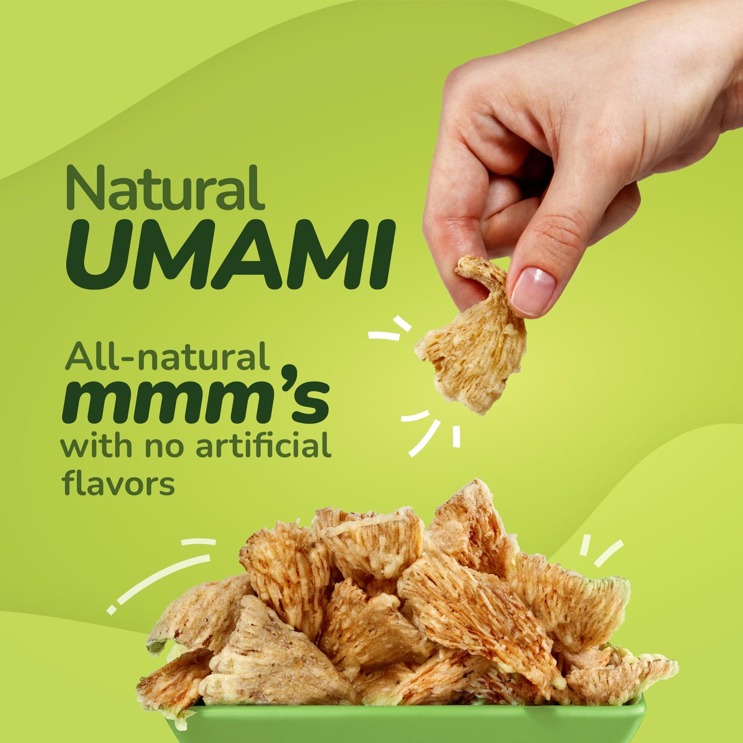 EVIL SNACKS Crunchy Mushroom Chips - VARIETY PACK, Non-GMO, Plant-Based, Vegan - Nutrient-Packed, On-the-Go Snack - 1 Oz (6 Pack