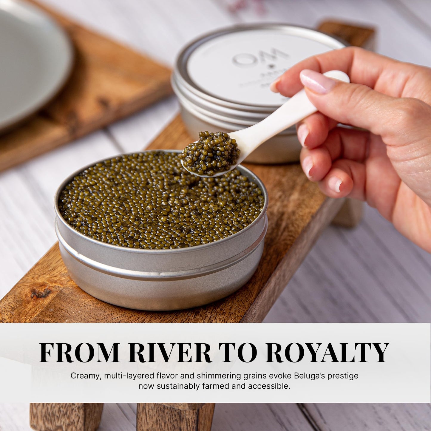 OM Caviar Kaluga Hybrid Caviar 500g - Sustainable River Beluga Alternative - enhanced Large Grain - Rich Buttery Flavor - Farm-Raised Caviar Kaluga  Vacuum-Sealed Fresh