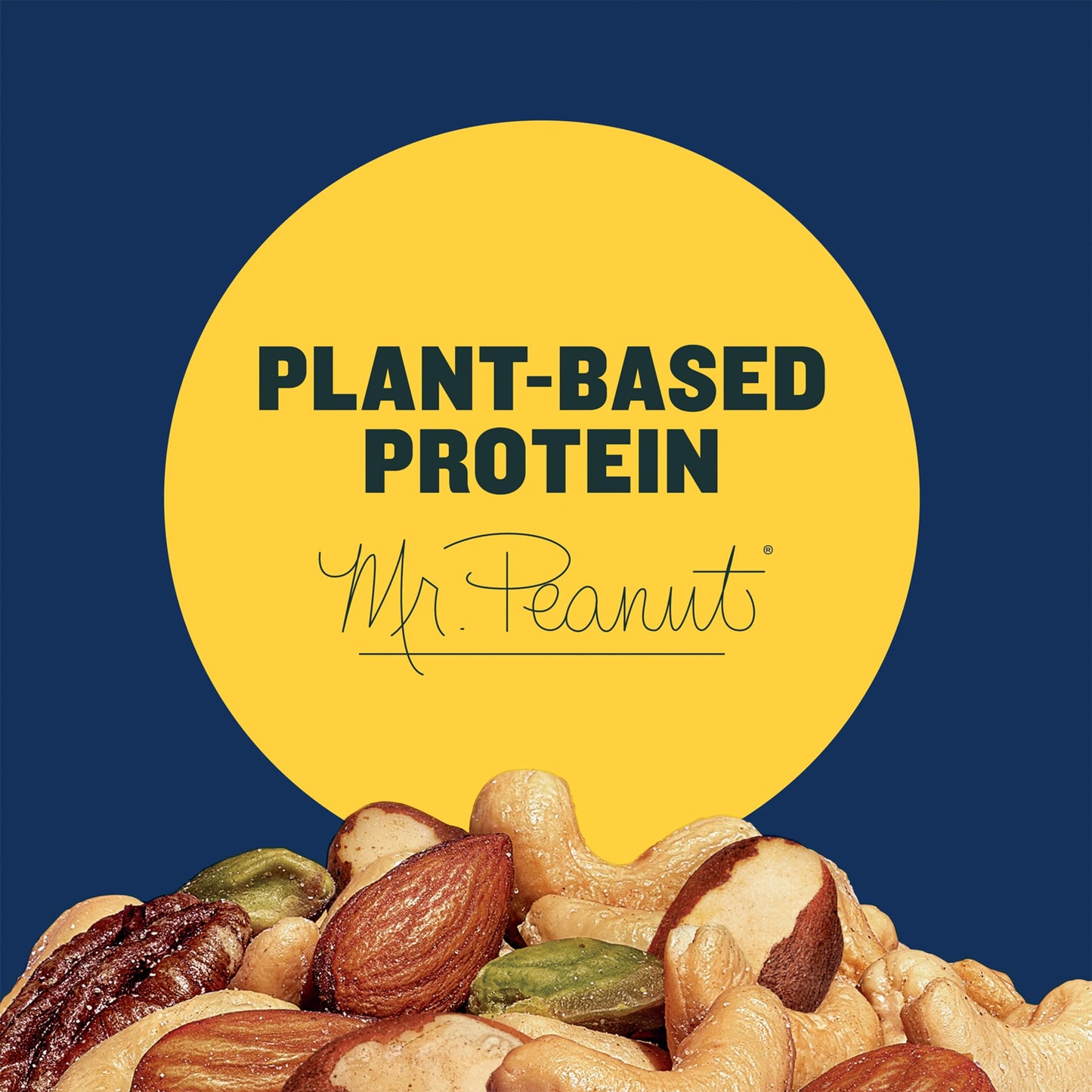 PLANTERS Pistachio Nut Mix, No Shell, Almonds & Cashews, Plant-Based Protein, 1.15 lb, Kosher