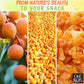 Dried Apricot | 1 Lb - Dried Fruit Diced | No Sugar Added | Dehydrated Fruit Bites | Packed In New York Zip-Seal Bag For Exceptional Freshness By Oh Nuts
