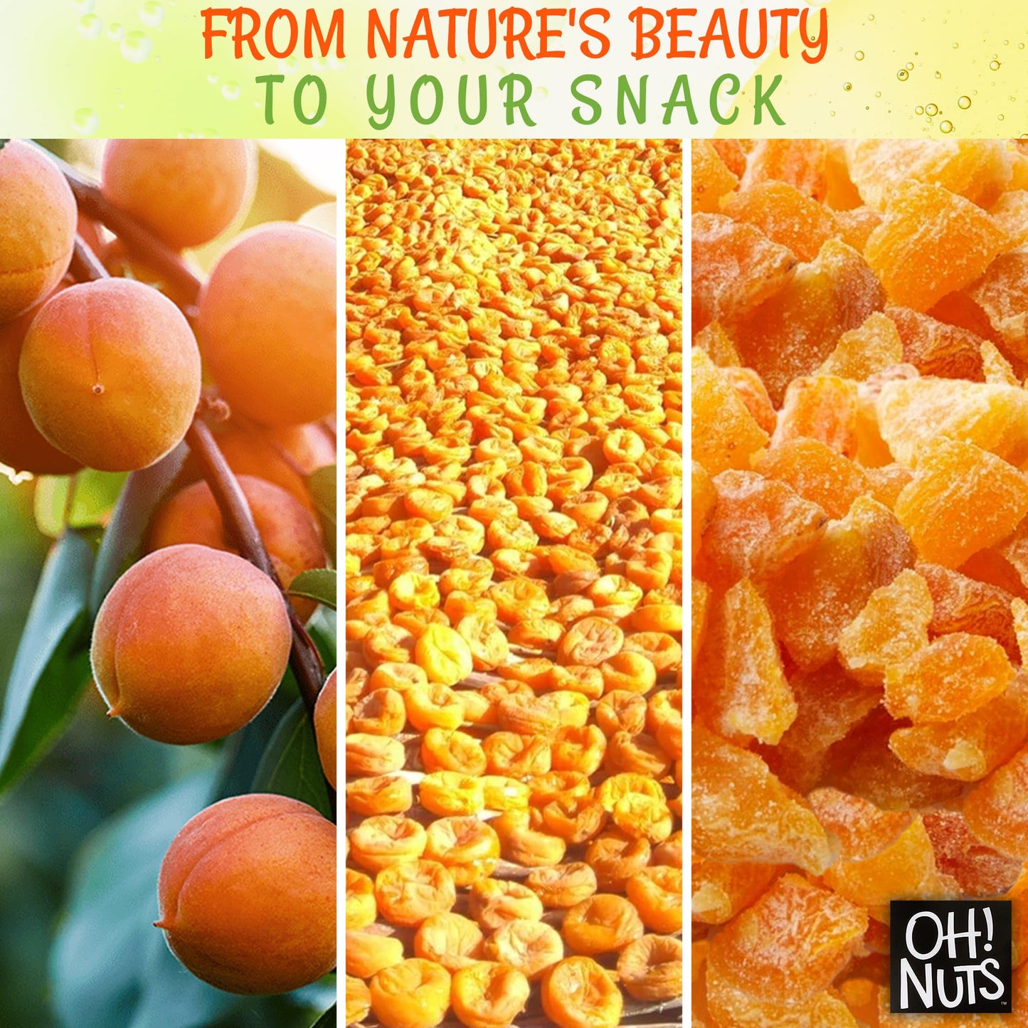 Dried Apricot | 1 Lb - Dried Fruit Diced | No Sugar Added | Dehydrated Fruit Bites | Packed In New York Zip-Seal Bag For Exceptional Freshness By Oh Nuts