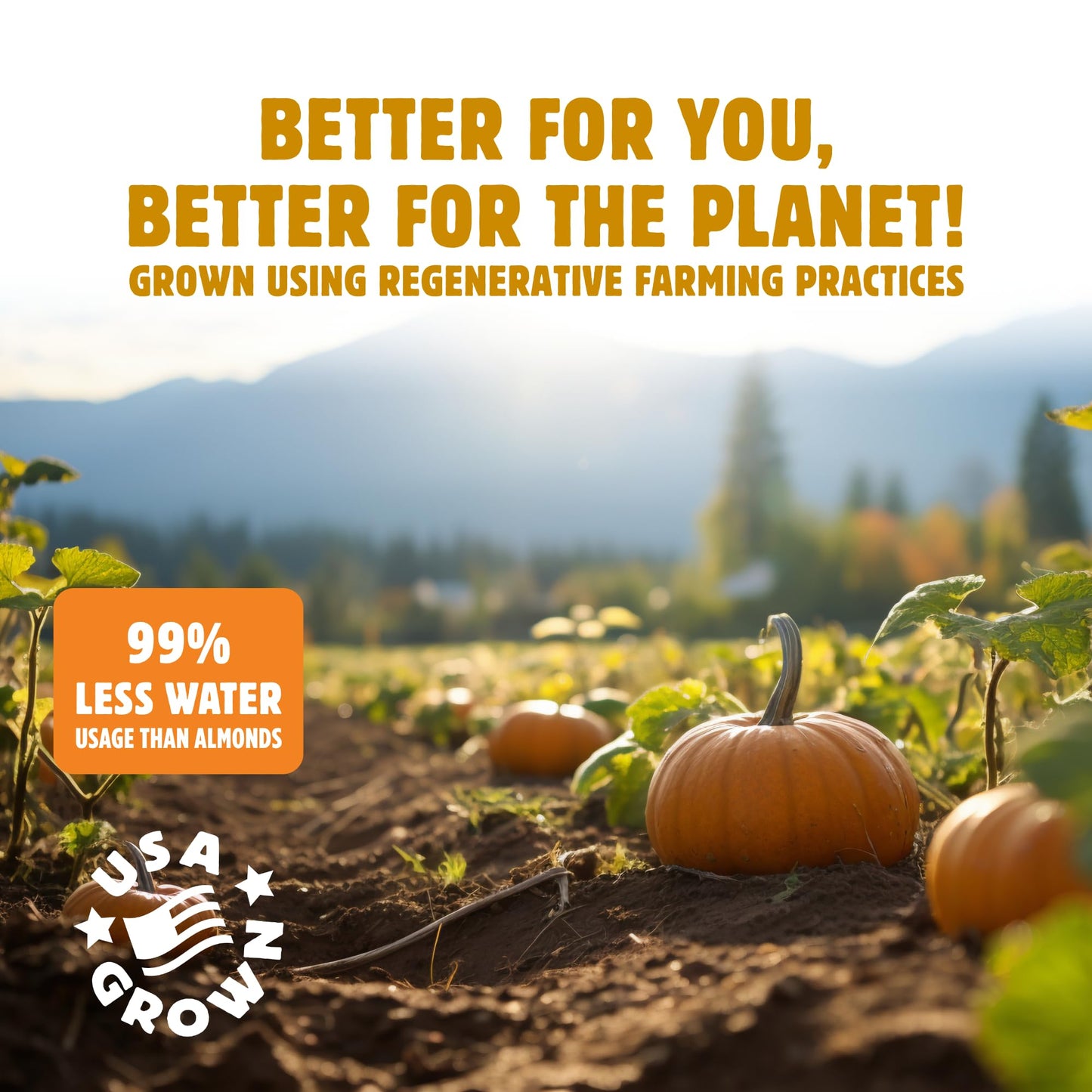 Top Fox Snacks BBQ Pumpkin Seeds to Eat (Barbecue, 3.5 oz - 6 Pack) - Gluten Free Snacks, Healthy Protein Snacks, Keto Friendly