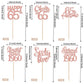 24Pcs Rose Gold Happy 65Th Birthday Cupcake Toppers Sixty Five Straight Outta 1960 Cupcake Picks Cheers To 65 Lengend Since 1960