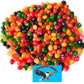 Skittlles Original Easter Jelly Beans Candy 40Oz Easter Basket Candy Egg Hunt Stuffers - Includes Pitching Pigeon Brand Magnet