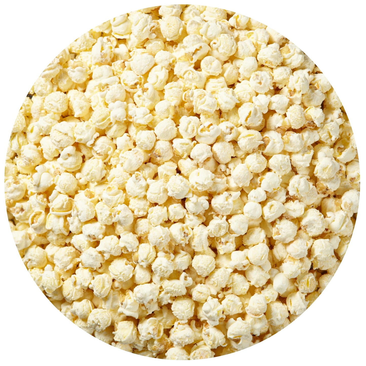 White Cheddar Cheese Popcorn Tin, 10 Ounce (1 Gallon Tin), Birthday Gifts, The Hampton Popcorn & Candy Company