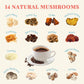 Decaf Mushroom Coffee, Instant Coffee Mix, 80 Servings | Sugar-Free, Decaffeinated Coffee Powder Blend | 14 Mushroom Extract for